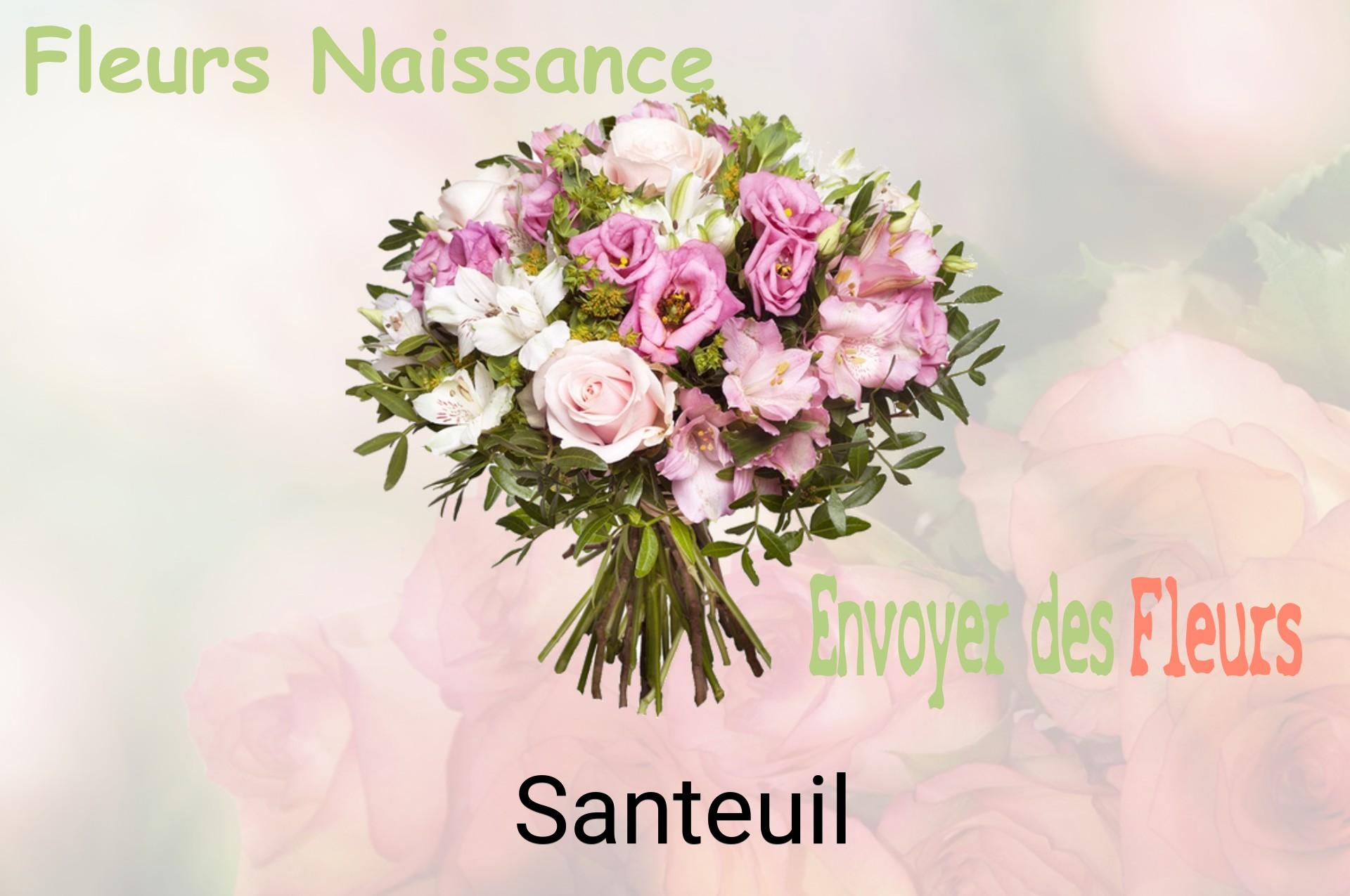 Bouquet de fleurs de naissance livré à Santeuil
